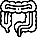 CT colonoscopy/ Endosonography or EUS/ Double contrast barium enema (DCBE)
