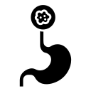 Lower Esophagus